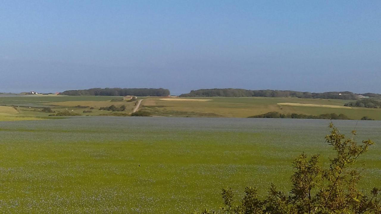 La Clef Des Champs Daire Audinghen Dış mekan fotoğraf