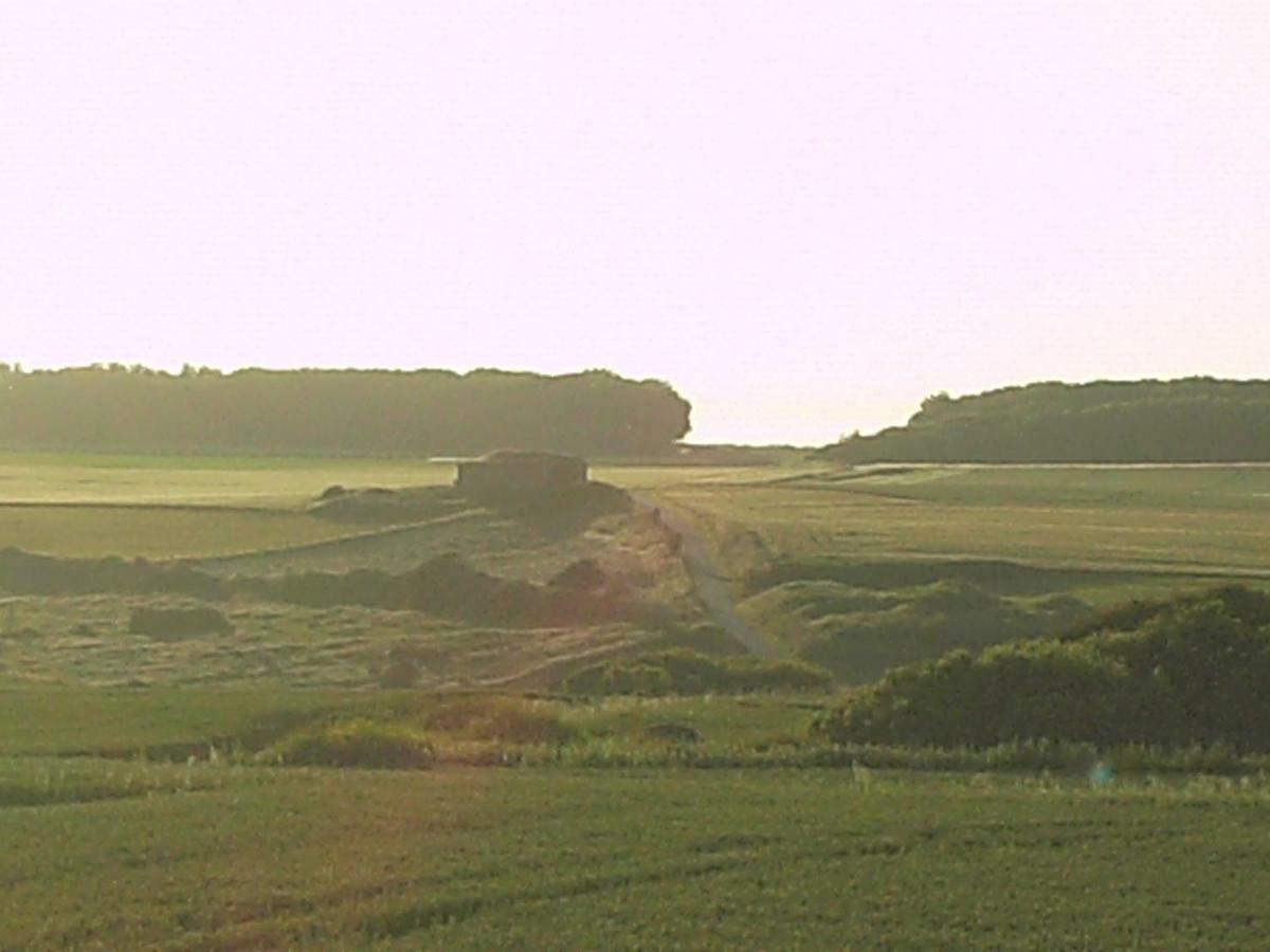 La Clef Des Champs Daire Audinghen Dış mekan fotoğraf